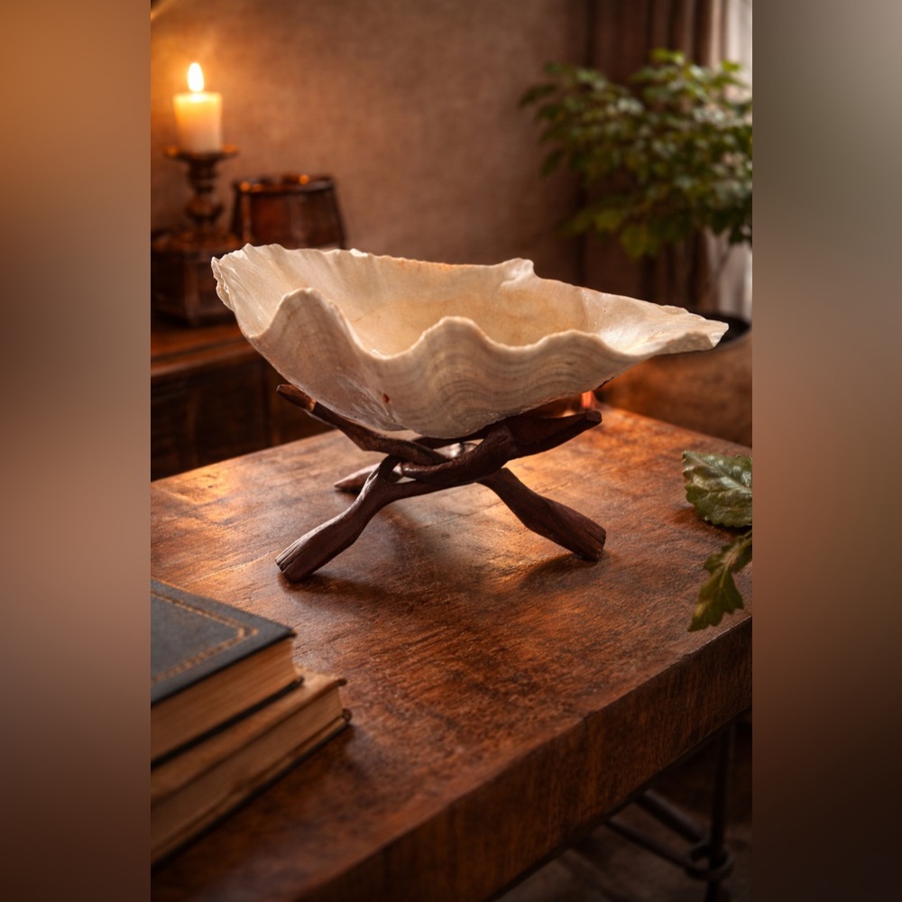 RARE Natural Large Under The Sea Clam Oyster Shell Bowl w/ Wooden Display Stand